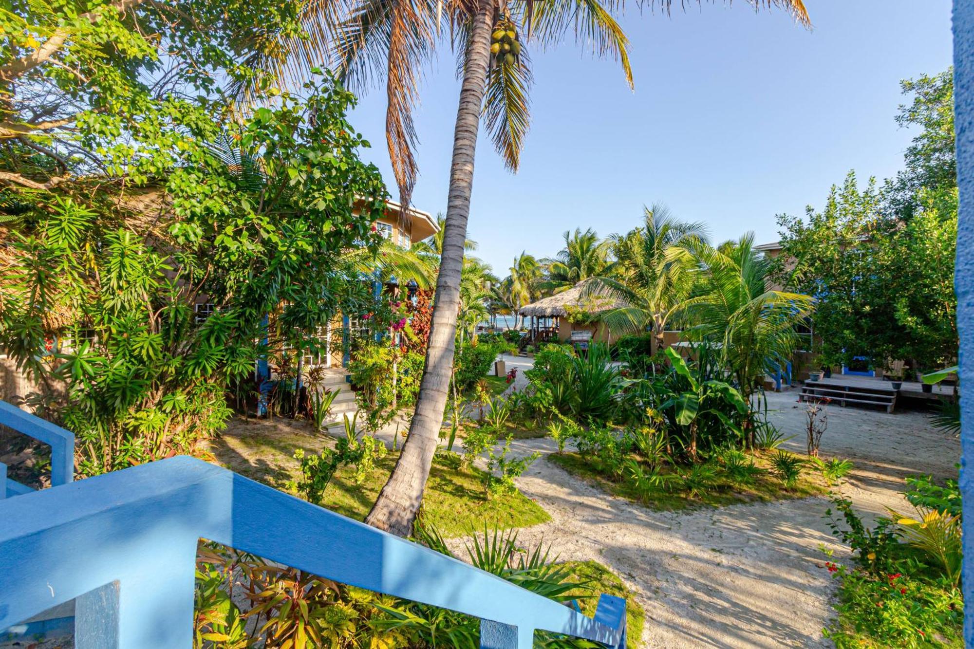 White Sands Cove ซานเปโดร ห้อง รูปภาพ